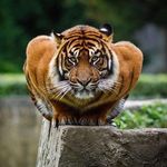 Jake Borchardt - @borchardtjake - Instagram