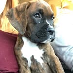Jake Boren - @jakeboren45 - Instagram