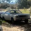 Jake Borg - @jake.borg3 - TikTok