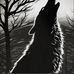 Jacob Bornemab - Facebook