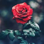 jake boyce - @jake_boyce_photography - Instagram