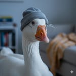 Jake Brandon - @jake.brandon02 - Instagram