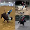 Jake Brittain - @jakebrittain8 - TikTok