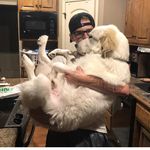 Jake Brumback - @jaykebee - Instagram
