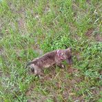 Jake Byrd - Facebook