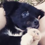 jake_Cabrera - @jake_cabrera6 - Instagram