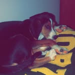 Jake Canter - @jake768 - Instagram