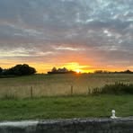 Jake Carter - Facebook