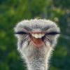jake.cantrell - @jake.cantrell - TikTok