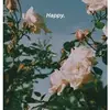 JakeCarey - @jakecareybsvdpf - TikTok