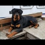 Jake Carpenter - @jakeancarpenter - Instagram