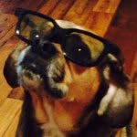 Jake Cassin - @jake_biscuit - Instagram