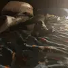 jake.c - @jake.caudill221956 - TikTok