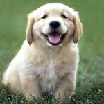 Jake Chaney - @jake_chaney - Instagram