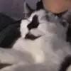 jakechaney8 - @jakechaney8 - TikTok