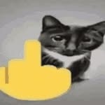 Jake Chang - @cat_flipping_you_off - Instagram