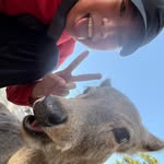 Jake Chang - @allducknoclass - Instagram