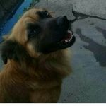 @jakechang_16 - Instagram