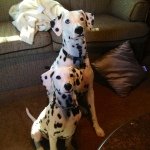 Jake & Chase - @jakeandchase - Instagram