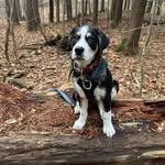 Jake Chase - @jakechase7 - Instagram