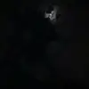 Nananaja - @chase_jake - TikTok