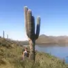 jake chastain - @frogtird - TikTok
