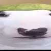 Memes for lif3 - @jake_chauvin - TikTok