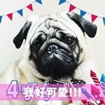 Jake Cheng - @mandycheng427 - Instagram