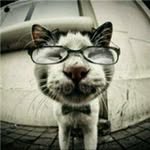 JakeCheng - @jakecheng0407 - Instagram