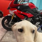 jakeCheng - @jakecheng40 - Instagram