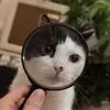 jakecheriff - @jakecheriff - TikTok