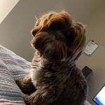 Jake Chevalier - @thatdiabeticguy01 - Instagram