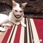 Jake Ch - @jake_ching - Instagram