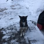 Jake Chiodo - @chiodojake - Instagram