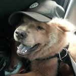 Jake Chow - @jake.thechow - Instagram