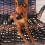 Jake Chulapa - @jake_chulapa - Instagram