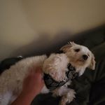Jake Chung - @jakechung6665 - Instagram