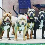 Jake Cleary - @jake.cleary.3348 - Instagram