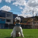 Jake Eduardo Collazos Blanco - @jake._.collazos - Instagram