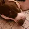 Jake Compton - @jake.compton3 - TikTok
