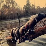Jake Compton - @jakecompton1 - Instagram