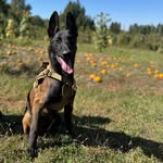 Jake Compton - @cidetrack - Instagram