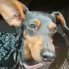 jake conner - @hotdogmenace101 - TikTok