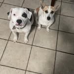 Jake Conner - @jake_jake7600 - Instagram