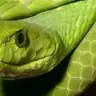 Jake Coughlin - @hi.my.name.is.jake - TikTok