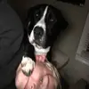 jakecoughlin6499 - @jakecoughlin6499 - TikTok
