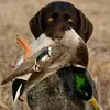 Jake Cox - @jake.cox15 - TikTok
