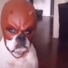Jakeccc - @jake_crisp_ - TikTok