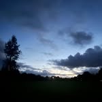 Jake Crook - @jakecrookky - Instagram