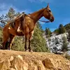 Jake_Crook_Outdoors! - @jake_crook_outdoors - TikTok